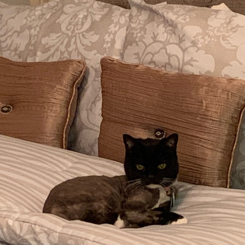 Meet your Posher, B 👱🏻‍♀️